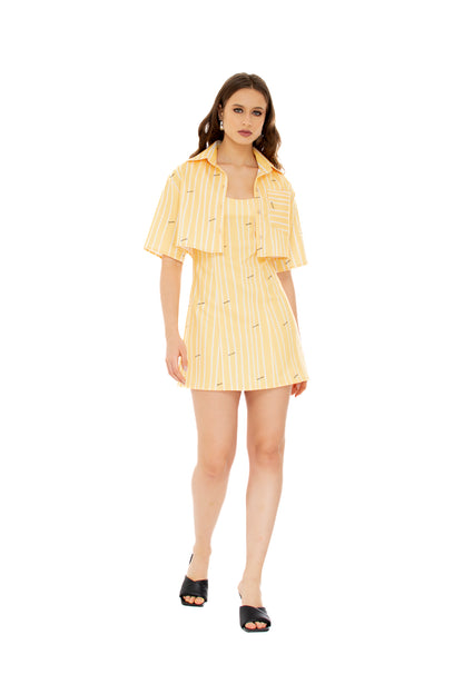 Yellow Stripes Mini Dress