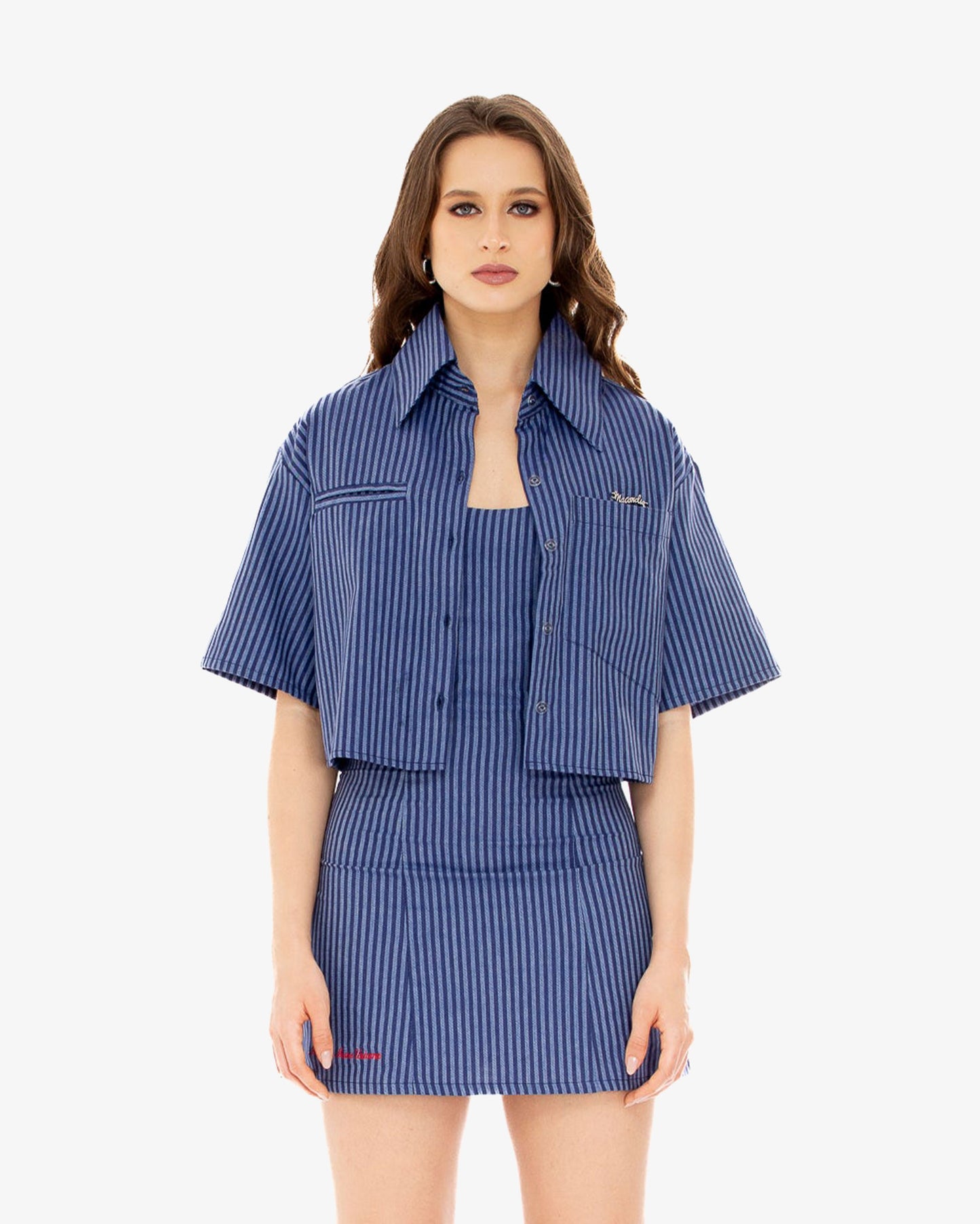 Premium Blue Stripes Shirt