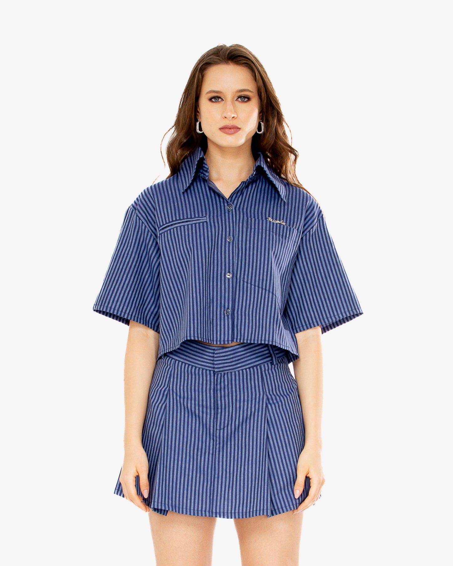 Premium Blue Stripes Shirt