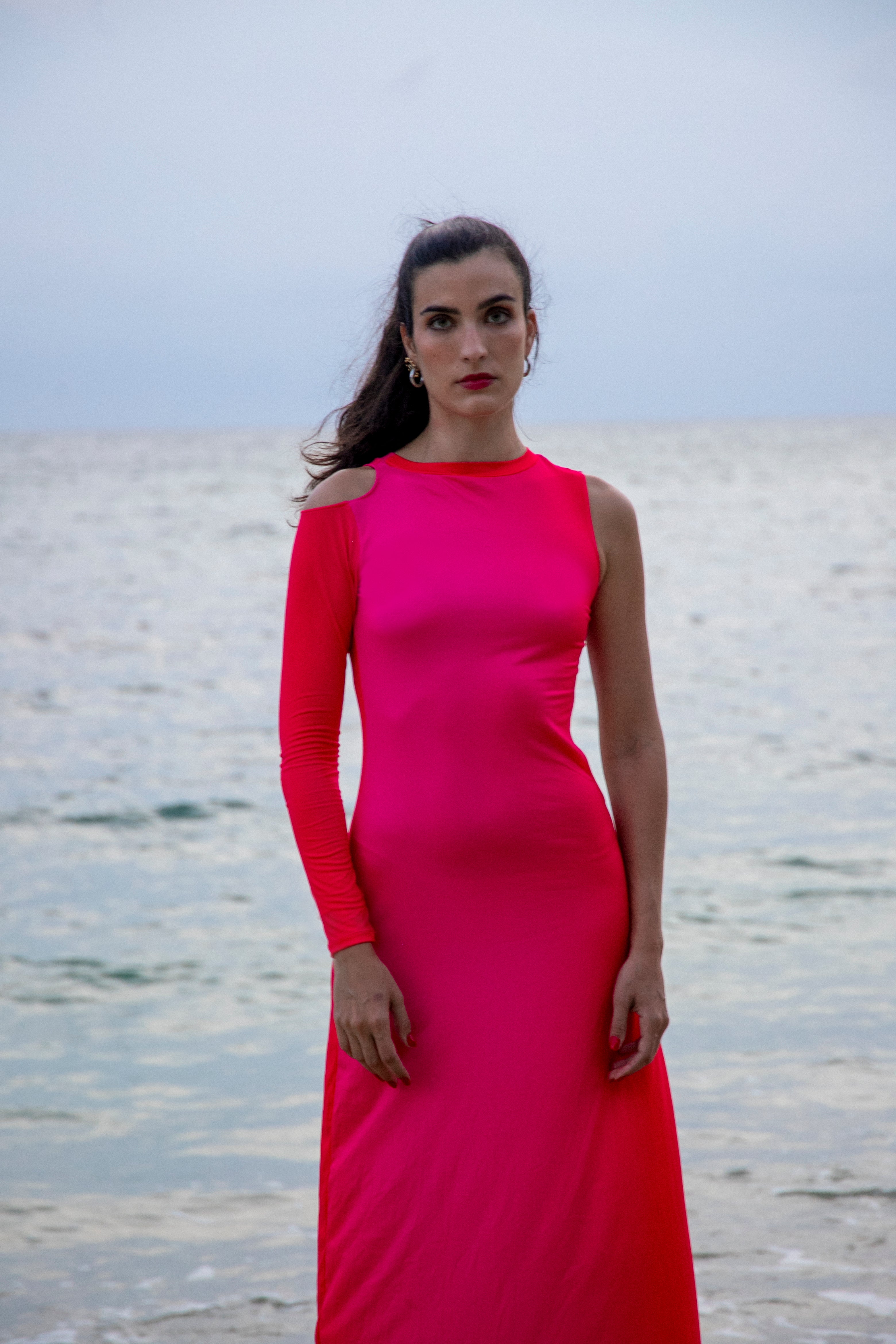 THE FUCHSIA DRESS